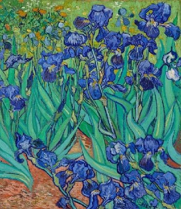 Iris flower wallpaper