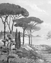 Wallpaper stroll in the calanques black and white