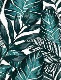 Non-woven toilet wallpaper Leaf color Peacock Blue