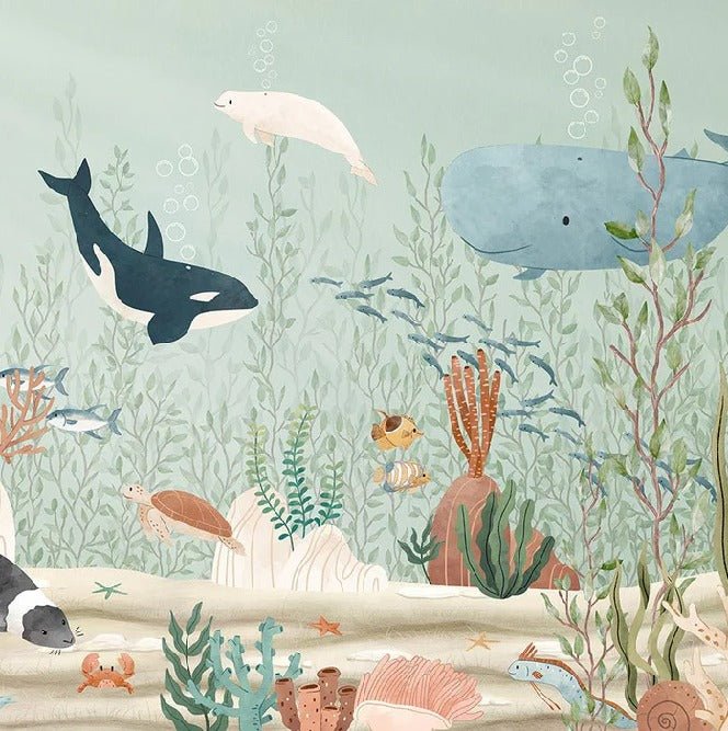 Baby marine world wallpaper