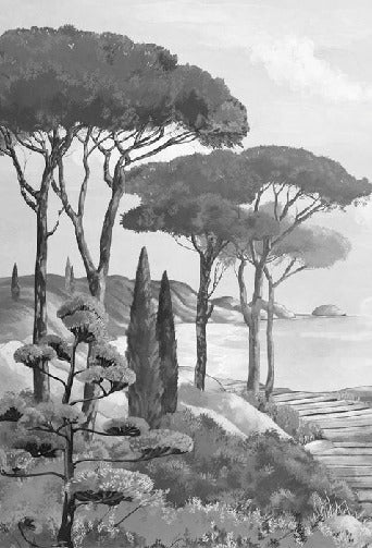 Wallpaper stroll in the calanques black and white