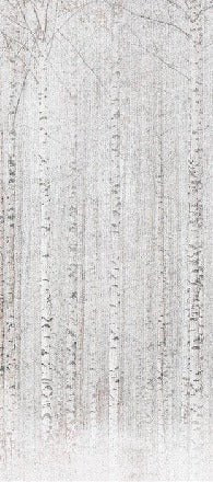 Enveloping birch forest wallpaper