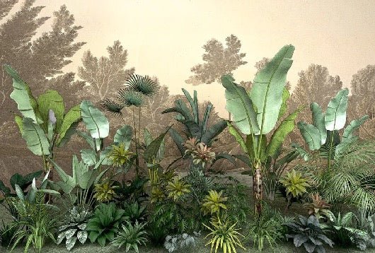 Jungle indonésia wallpaper