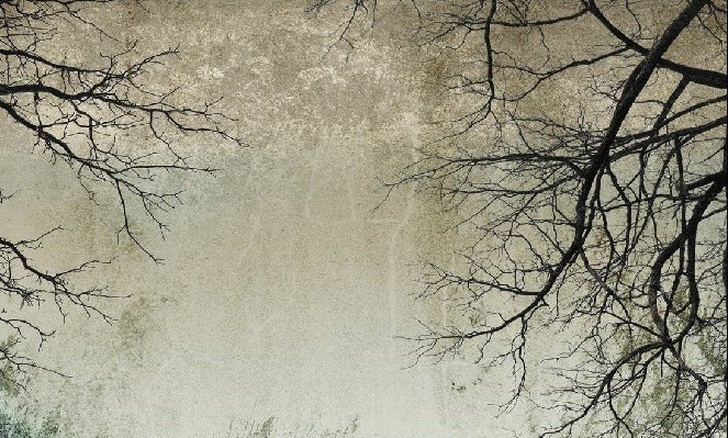 Enchanted Forest wallpaper