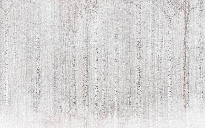 Enveloping birch forest wallpaper