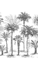 Jungle Black & White wallpaper