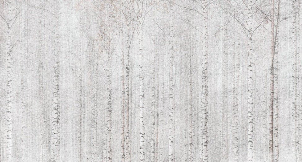 Enveloping birch forest wallpaper