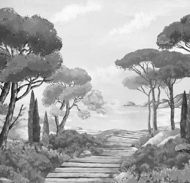 Wallpaper stroll in the calanques black and white