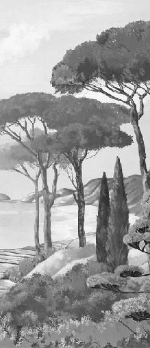 Wallpaper stroll in the calanques black and white