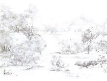 Watercolor pine forest wallpaper