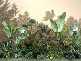 Jungle indonésia wallpaper