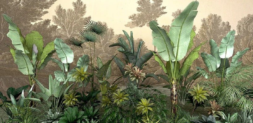 Jungle indonésia wallpaper