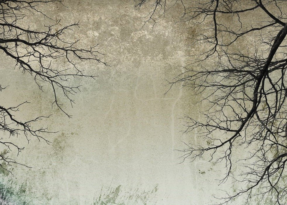 Enchanted Forest wallpaper