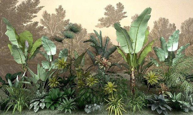 Jungle indonésia wallpaper