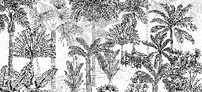 Trendy coconut jungle wallpaper