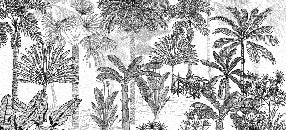 Trendy coconut jungle wallpaper