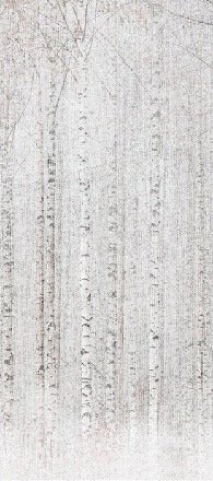 Enveloping birch forest wallpaper