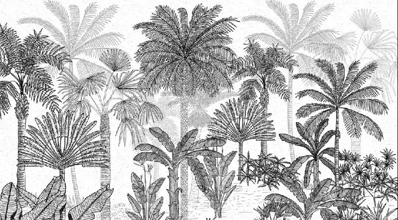 Trendy coconut jungle wallpaper