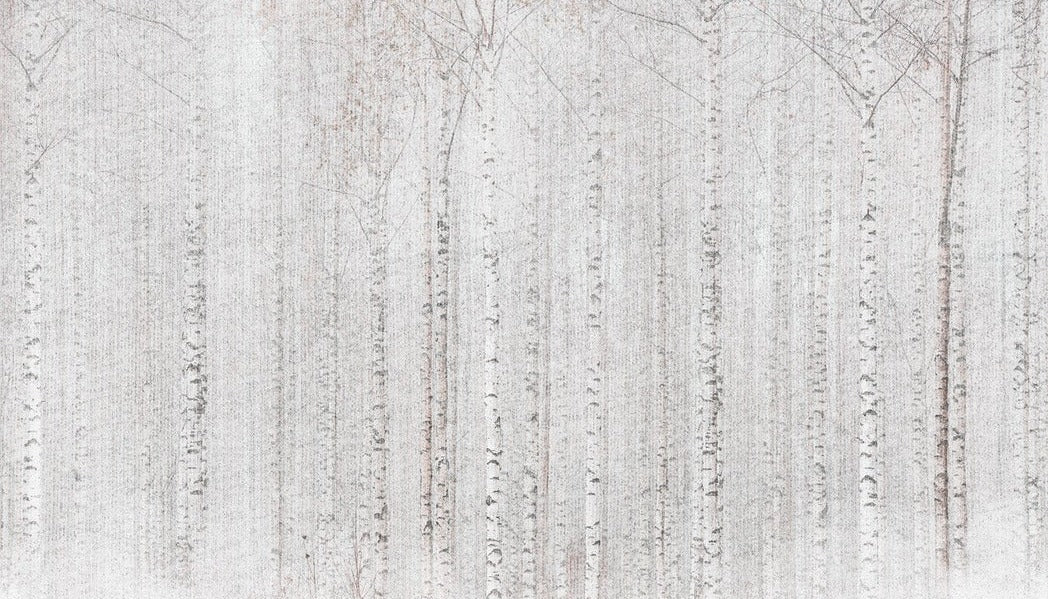 Enveloping birch forest wallpaper