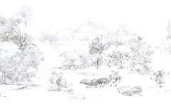 Watercolor pine forest wallpaper