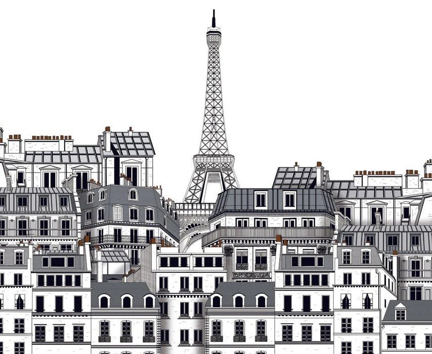 French wallpaper Parisian rooftops