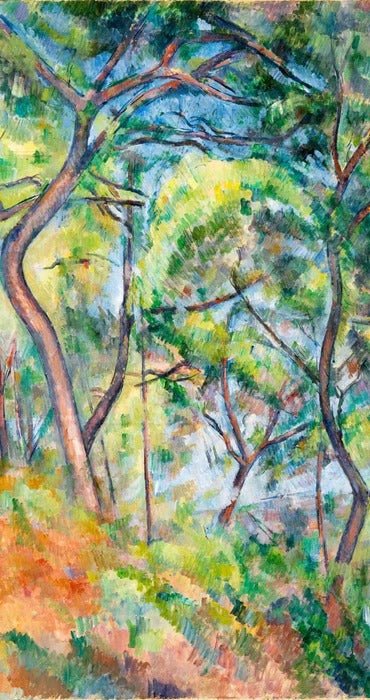 Pine Forest Wallpaper - Paul Cézanne