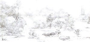 Watercolor pine forest wallpaper