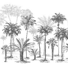 Jungle Black & White wallpaper