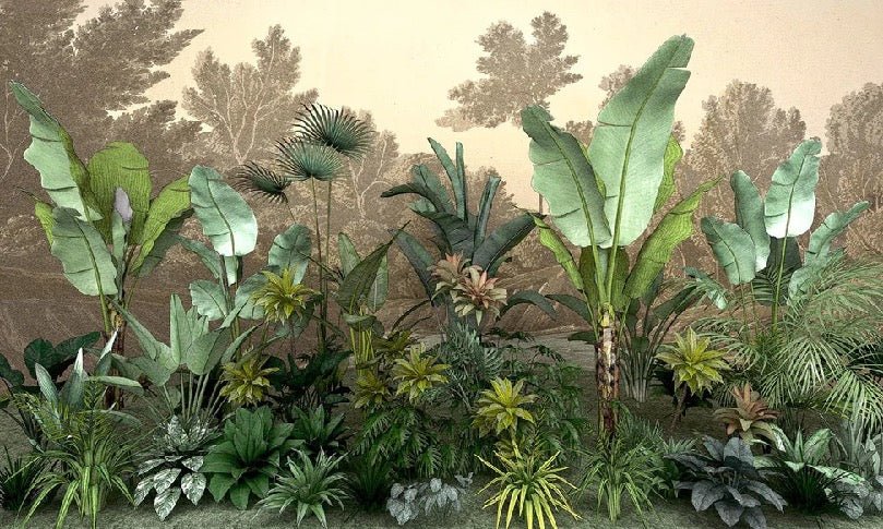 Jungle indonésia wallpaper