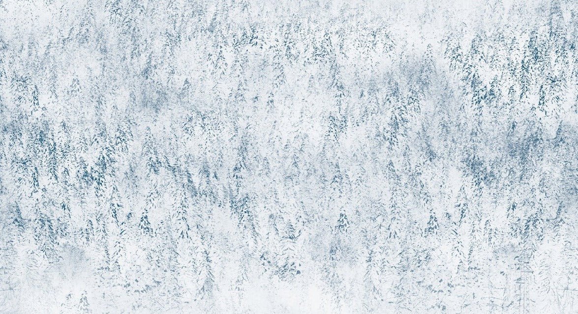 Alpine design misty forest wallpaper
