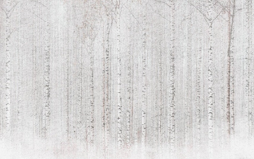 Enveloping birch forest wallpaper
