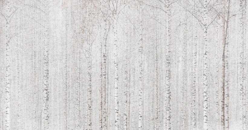 Enveloping birch forest wallpaper