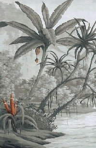 Jungle Contrast Wallpaper