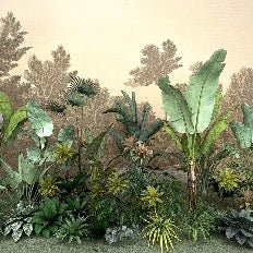 Jungle indonésia wallpaper