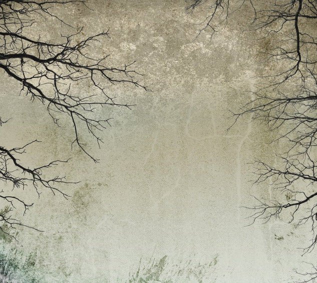 Enchanted Forest wallpaper