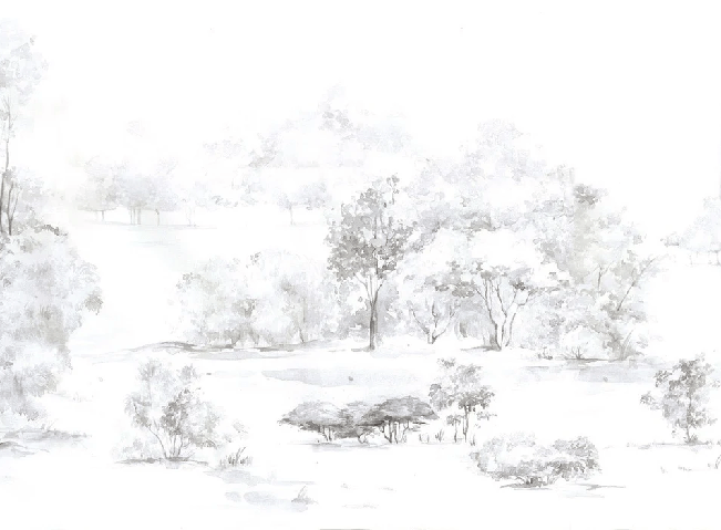 Watercolor pine forest wallpaper