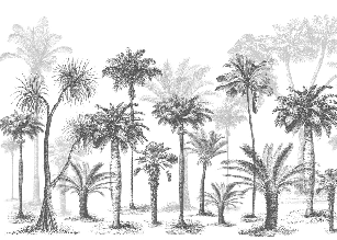 Jungle Black & White Wallpaper