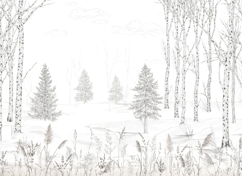 Black and white forest wallpaper – Douceur des Bois