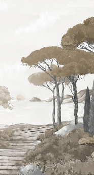 Papier peint balade dans les calanques brun