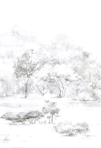 Watercolor pine forest wallpaper