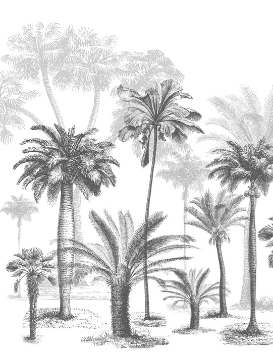 Jungle Black & White wallpaper