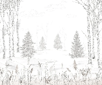 Black and white forest wallpaper – Douceur des Bois