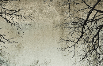 Enchanted Forest Wallpaper