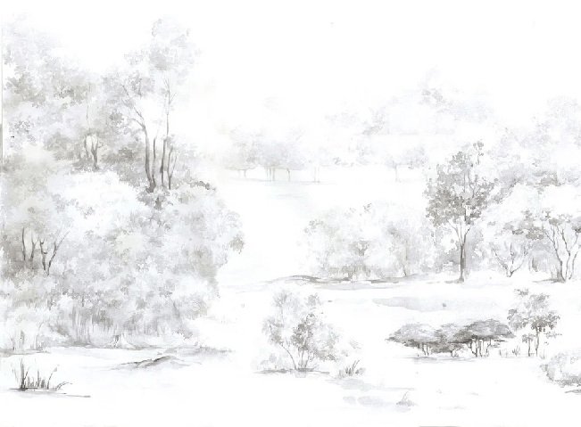 Watercolor pine forest wallpaper