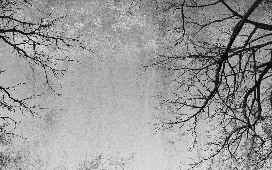 Enchanted Forest Wallpaper