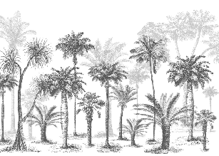 Jungle Black & White Wallpaper