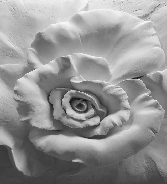 3D Flower Sculpture Wallpaper