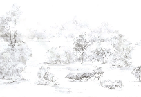 Watercolor pine forest wallpaper