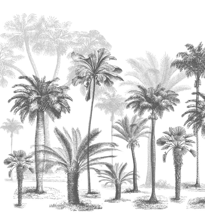 Jungle Black & White wallpaper