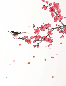 Zen harmony sakura wallpaper